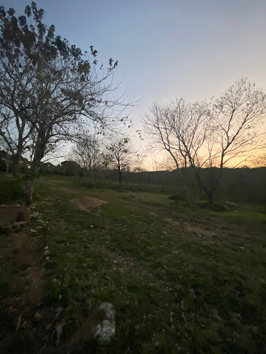 Los cedros San Fernando camping - Thumbnail