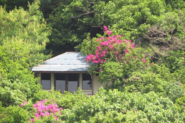 Koh Nang Yuan Viewpoint