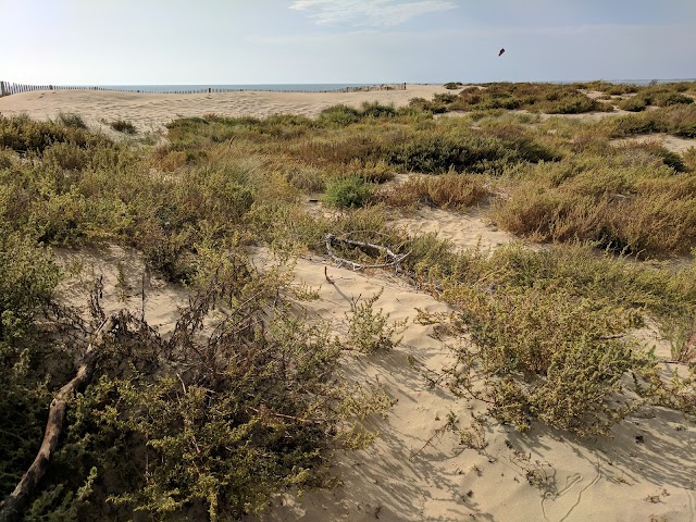 Plage de la Giraudière (Grand-Village-Plage)