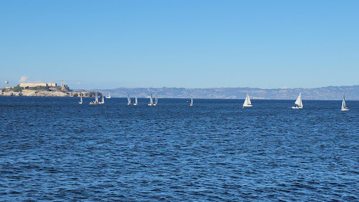 Marina Green Gallery - United States