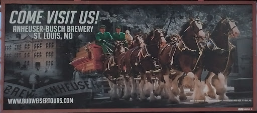 TERRYS PACKAGE STORE - Visual