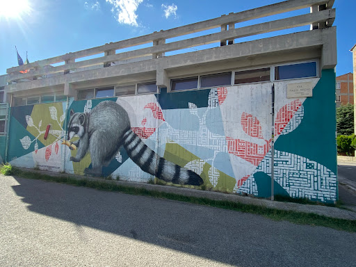 Primary School Matteotti - Thumbnail