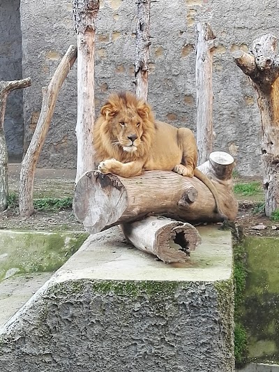 Naples Zoo