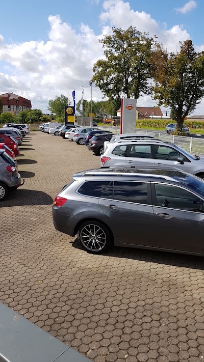car-dealer