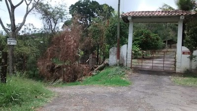 Photos of CAMPING TACUARA