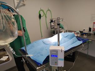 Photo n°16 de CLINIQUE VETERINAIRE DES BOURBONS à Montluçon (Clinique vétérinaire)