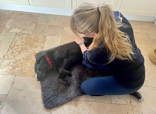 Lottie Bridle Veterinary Physiotherapy - Thumbnail