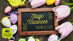 Photo n°1 de LES PETITS BILINGUES - LES PROS BILINGUES Ardennes à Charleville-Mézières (Cours d'anglais)