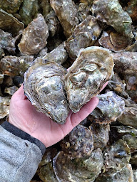Photo n°2 de Huitres Damerose à Locoal-Mendon (Fournisseur d'huîtres)