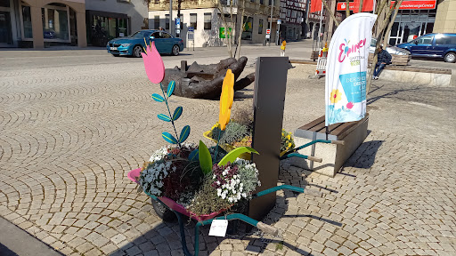 Stadtinformation Eppingen - Thumbnail