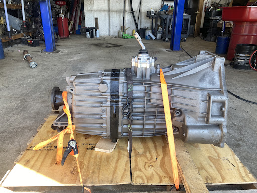 Laubes Transmission - Visual