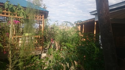 Photos of Evergreen Plains Farm