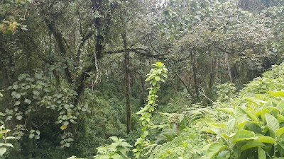 Photos of Zaina Falls