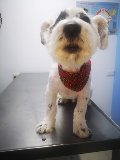 Veterinaria y estética Canina ALMENA