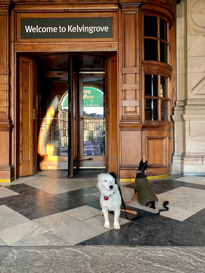 Western Lettings Glasgow Letting Agents photo 2