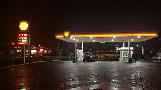 Burlington Shell - Visual