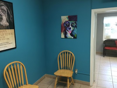 Photos of Animal Hospital of West Port Saint Lucie