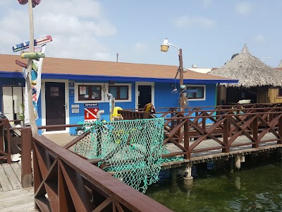 Photos of Curious 2 Dive