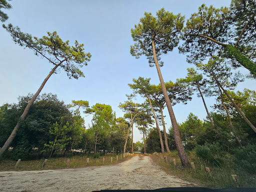 Parking Forestier du Gardour