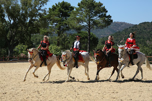 Photo n°5 de Club Hippique Maximois à Sainte-Maxime (Centre équestre)