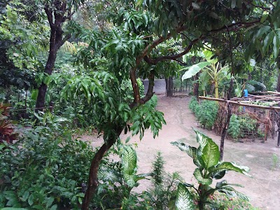Photos of মন্ডল বাড়ি কবরস্থান, বনগ্রাম