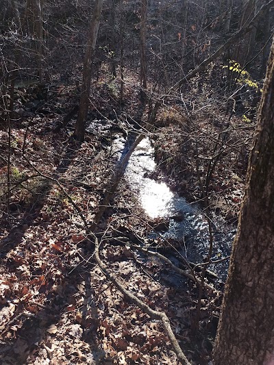 Rattlesnake spring