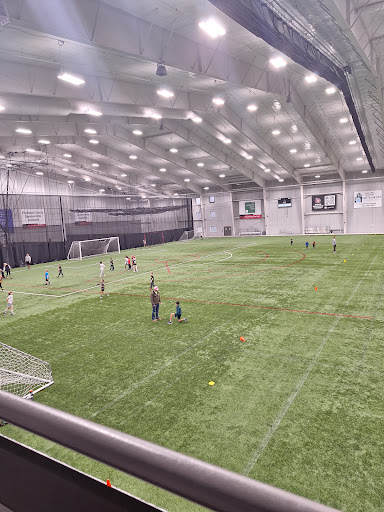 RecPlex - Visual