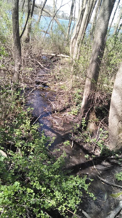 Burt Lake Campground and Wildlife Area