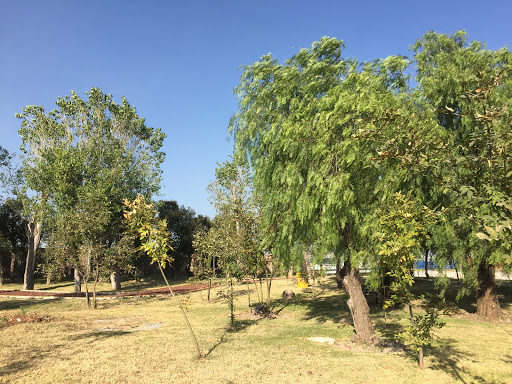 Area verde pet friendly La Antigua Cementera - Thumbnail