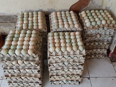 Photos of Grosir Telur Negara