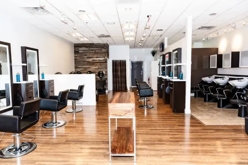 Anthony David Salon Gallery - United States