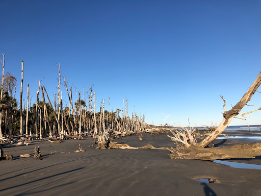 Capers Island Heritage Preserve - Thumbnail