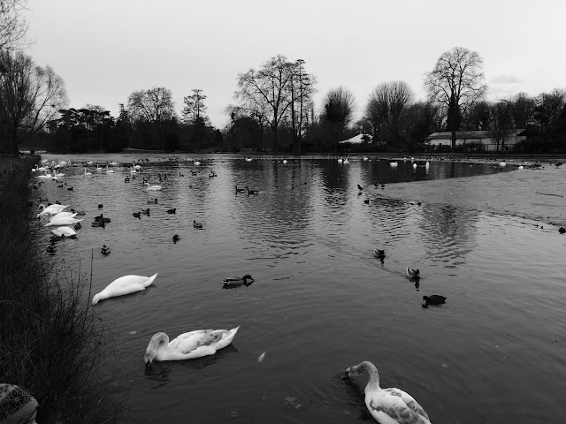 Lac Daumesnil