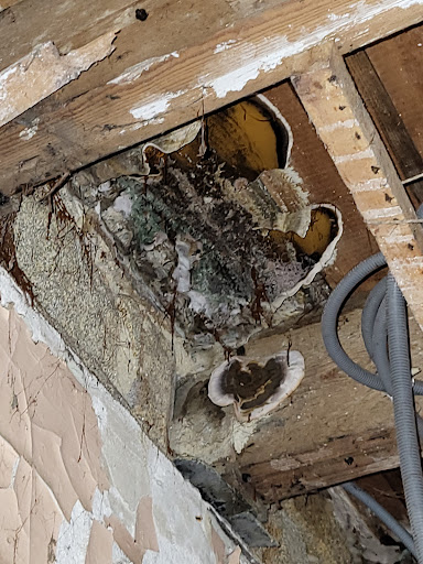 Photo de Ahès Sablage