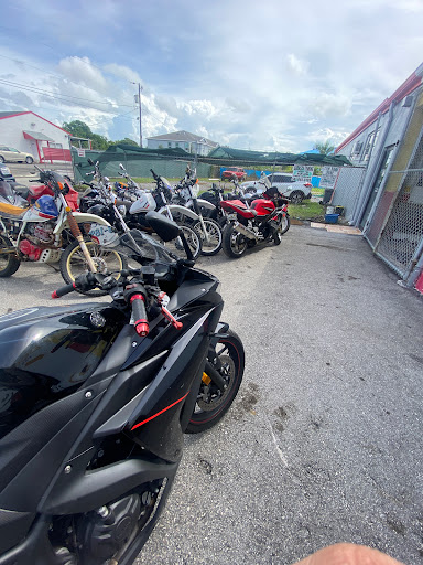 BCF Cycles - Visual