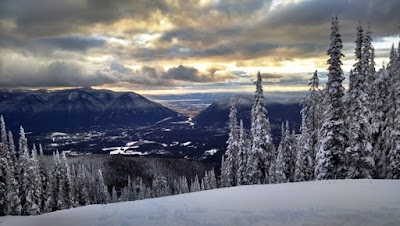 Flathead National Forest