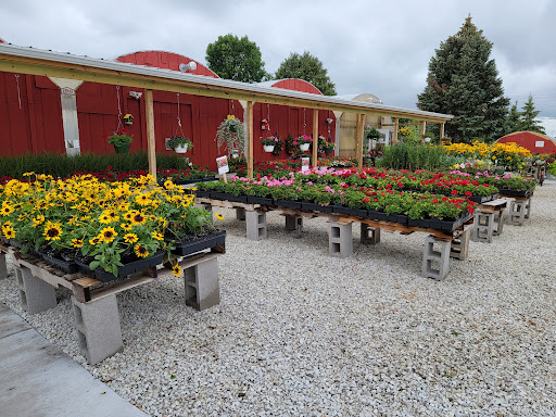 In Bloom Greenhouse - Thumbnail