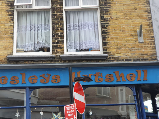 Lesleys Nutshell - Visual