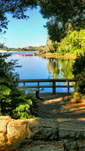 Cleawox Lake Day-Use Area