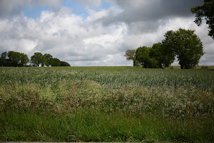 Photo n°5 de Valtro le Nid - logement entier proche 24 heures du Mans & grottes de Saulges à Saulges (Gîte)