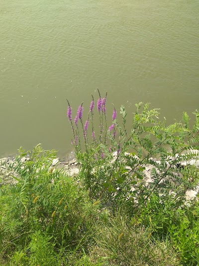 Platte River State Access