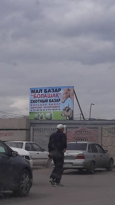 Photos of AMS Kazakhstan