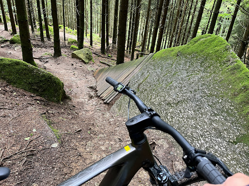 Statera Schwarzwaldtrail - Thumbnail