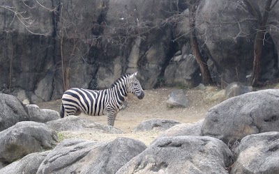 The Maryland Zoo in Baltimore