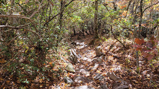 Little Pisgah Ridge Tunnel Gallery - United States