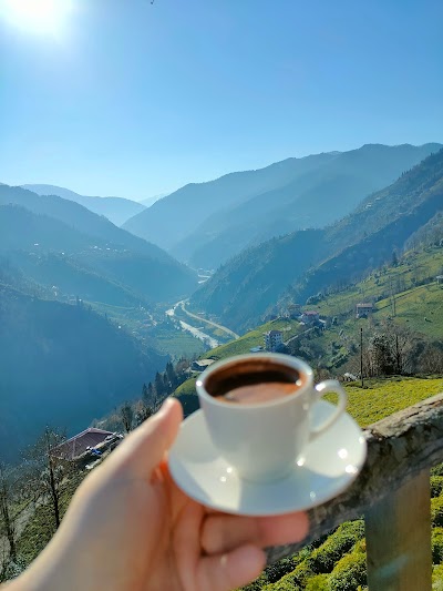 actbilet.com | Ucuz Uçak Biletleri | Rize Günübirlik Turlar | Karadeniz Balayı Otelleri