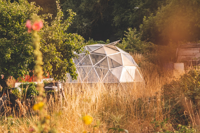 Avis sur PAYSA NATURE à Angers - Paysagiste