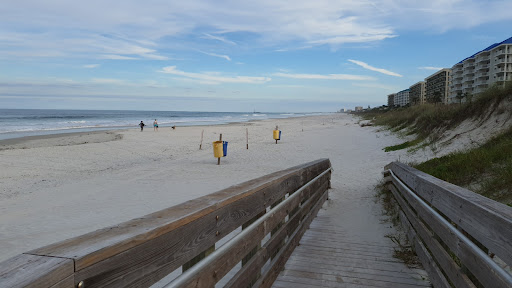Winterhaven Park - Visual