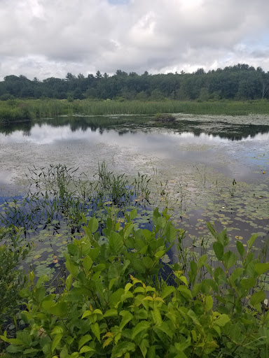 Fenton-Ruby Park - Visual