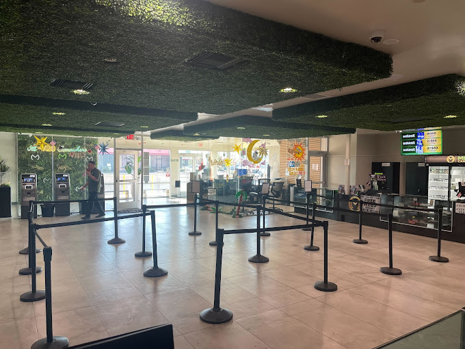 Mint Cannabis - Northern Ave photo 2